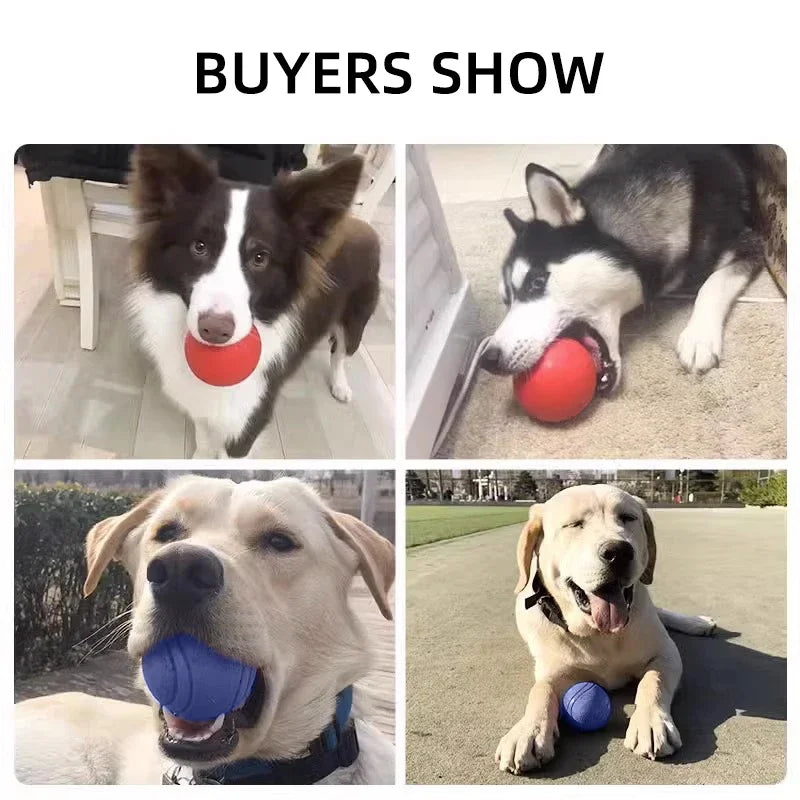 HOOPET Bite-Resistant Rubber Dog Ball